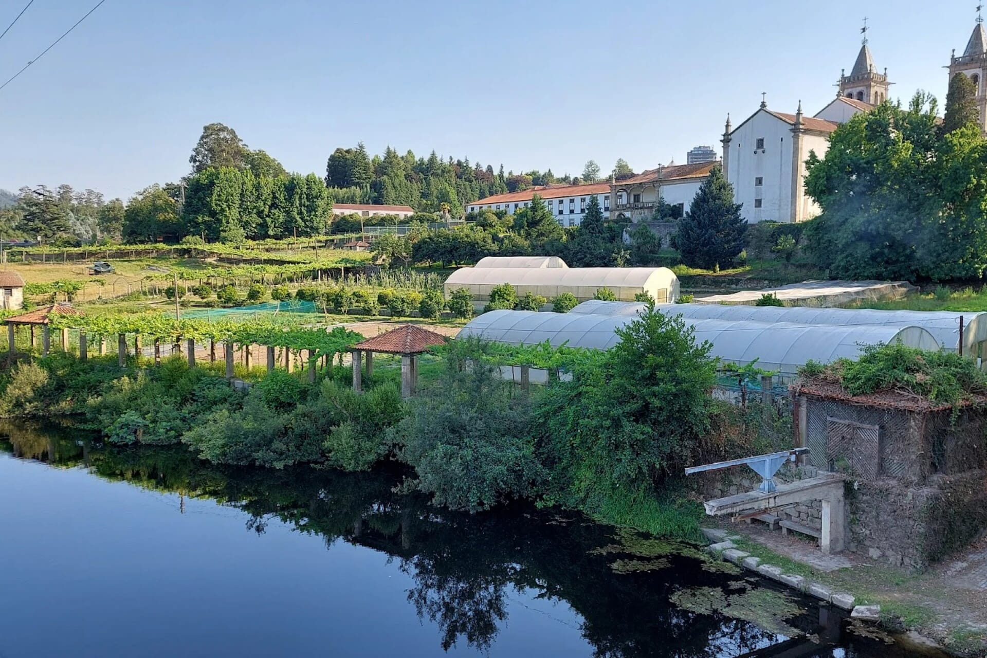 Santo Tirso: Discovering the Enchanting Hidden Gem - A Journey into 